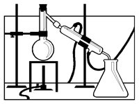 LAB.BMP
