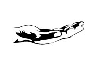 HAND21B.BMP