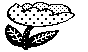 FLWR11.BMP