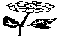 FLWR09.BMP