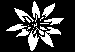 FLWR03.BMP
