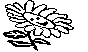 FLOWER.BMP
