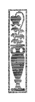 VASEMOTF.BMP