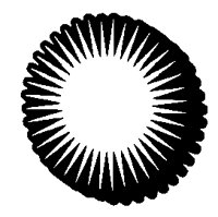 SUNBURST.BMP