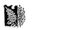 TREE.BMP