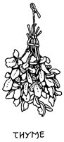 THYME2.BMP