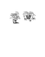 PLANTS.BMP