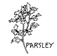 PARSLEY.BMP