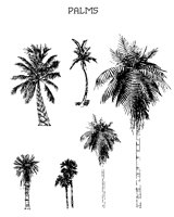 PALMS.BMP