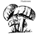 MUSHROOM.BMP