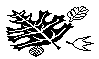 LEAVES.BMP
