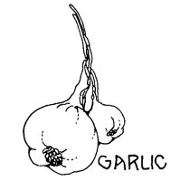 GARLIC.BMP