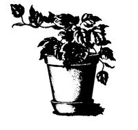 FLW_POT.BMP