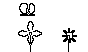 FLOWERS2.BMP