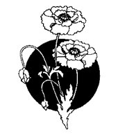 FLOWERS.BMP
