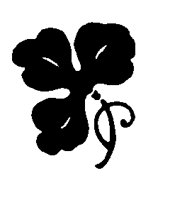 FLOWER5.BMP