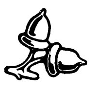 ACORNS.BMP