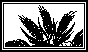 WHEAT.BMP