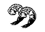 SHRIMP2.BMP