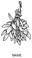 SAGE2.BMP