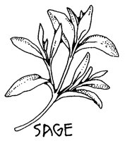 SAGE.BMP