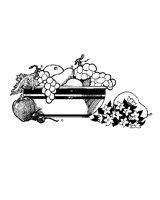 13.BMP