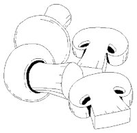 MUSHROOM.BMP