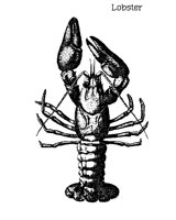 LOBSTER.BMP