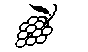 GRAPES1.BMP