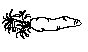 CARROT1.BMP