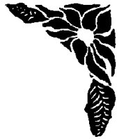 FLORAL54.BMP