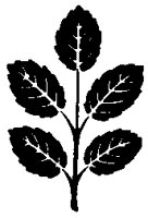 FLORAL34.BMP