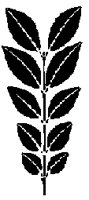 FLORAL22.BMP