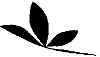 FLORAL14.BMP