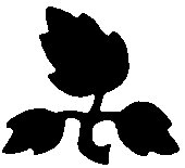FLORAL07.BMP