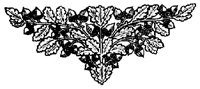 FLORAL03.BMP