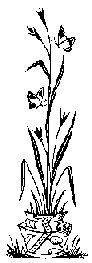 FLORAL02.BMP