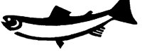 TROUT.BMP