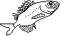 MENPACHI.BMP