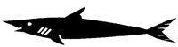 MAKO.BMP