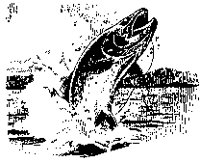 HKDFISH.BMP