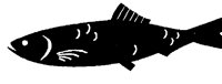 HERRING.BMP