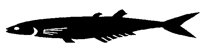 GRUNION.BMP