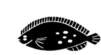 FLOUNDER.BMP