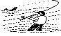 FISHN4.BMP