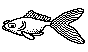 FISH11.BMP