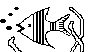 FISH09.BMP