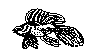 FISH07.BMP