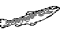FISH06.BMP