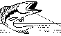 FISH04.BMP